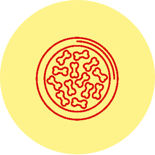 Imagem PNG, Ícone 02